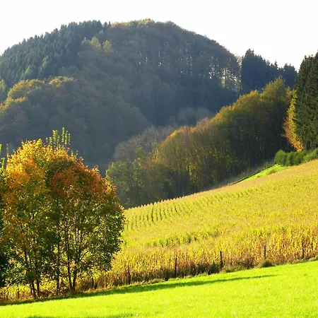 In Oberkirchen With Terrace *