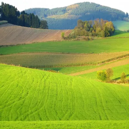 In Schmallenberg-oberkirchen With Terrace Schmallenberg